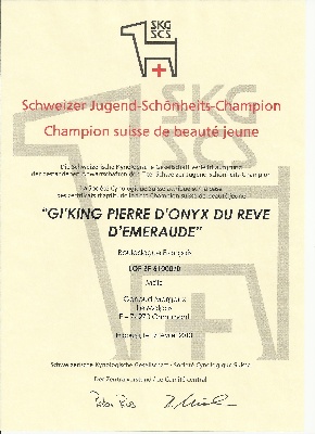 Du Rêve D'Emeraude - Gi'King est devenu Jeune champion Suisse de Beauté!
