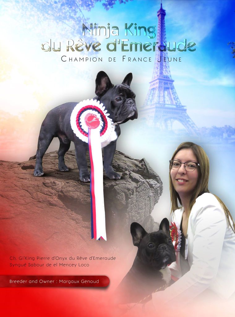 Du Rêve D'Emeraude - Ninja King est Champion de France Jeune!