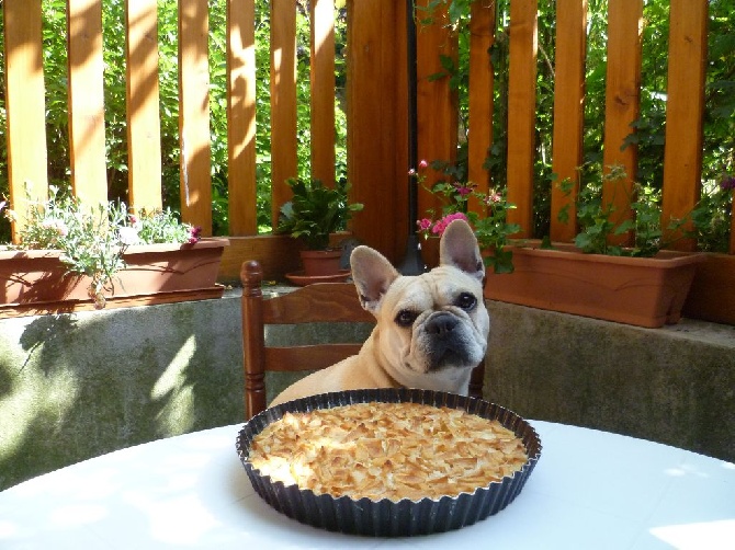 Du Rêve D'Emeraude - Le gâteau d'anniversaire d'Emeraude!