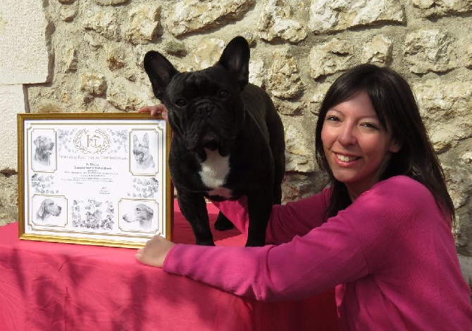 Du Rêve D'Emeraude - Gi'King est Champion International de beauté!