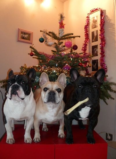 Joyeux Noel! (2013)