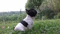Norbert Prince
